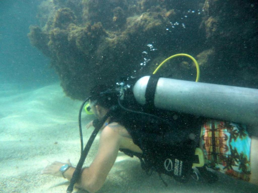 Kitnet Sabrinna Maceió Exteriér fotografie